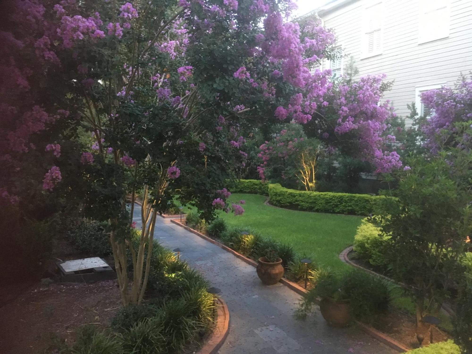 Bed and Breakfast 22 Charlotte Charleston Exterior foto