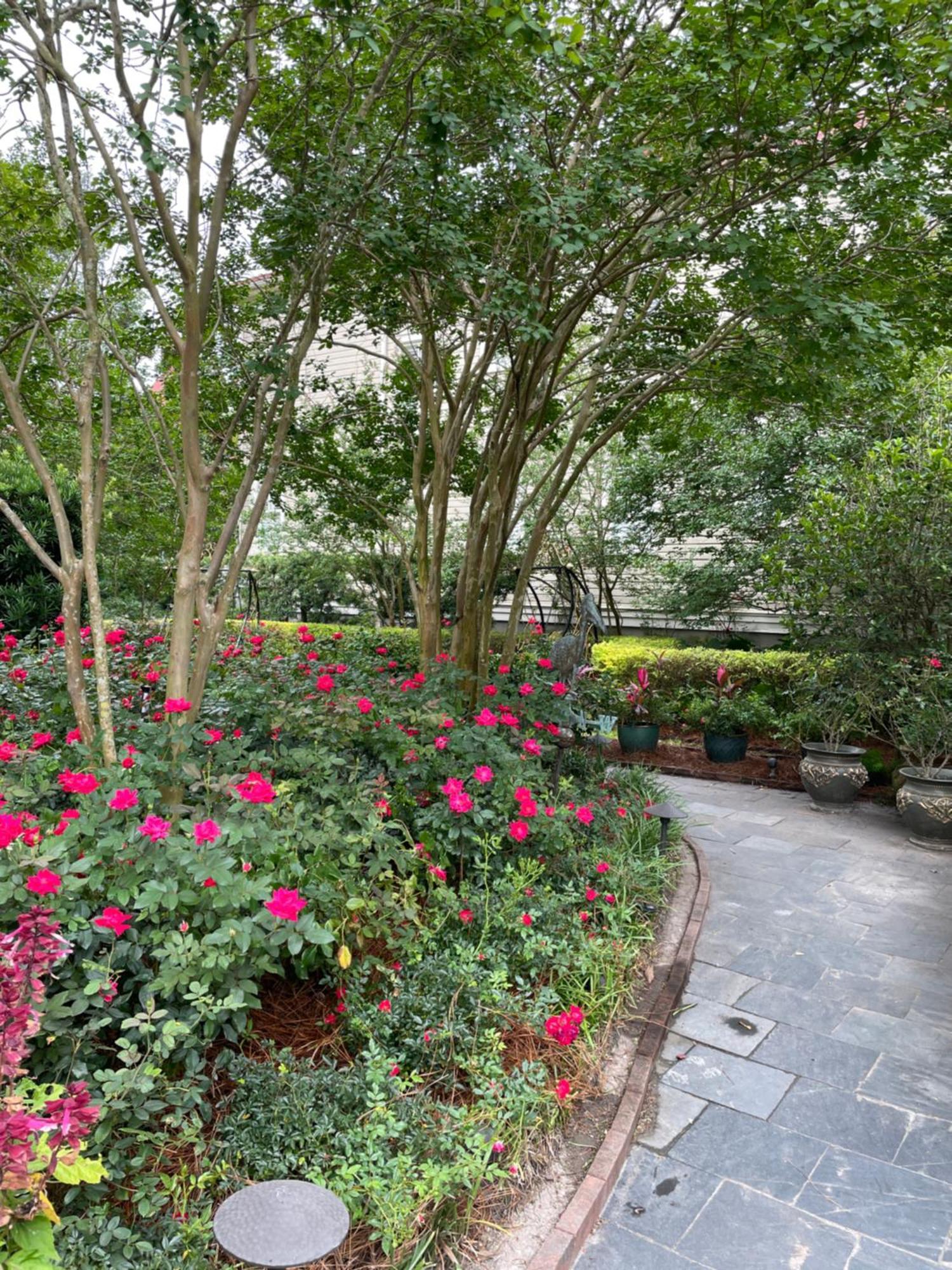 Bed and Breakfast 22 Charlotte Charleston Exterior foto